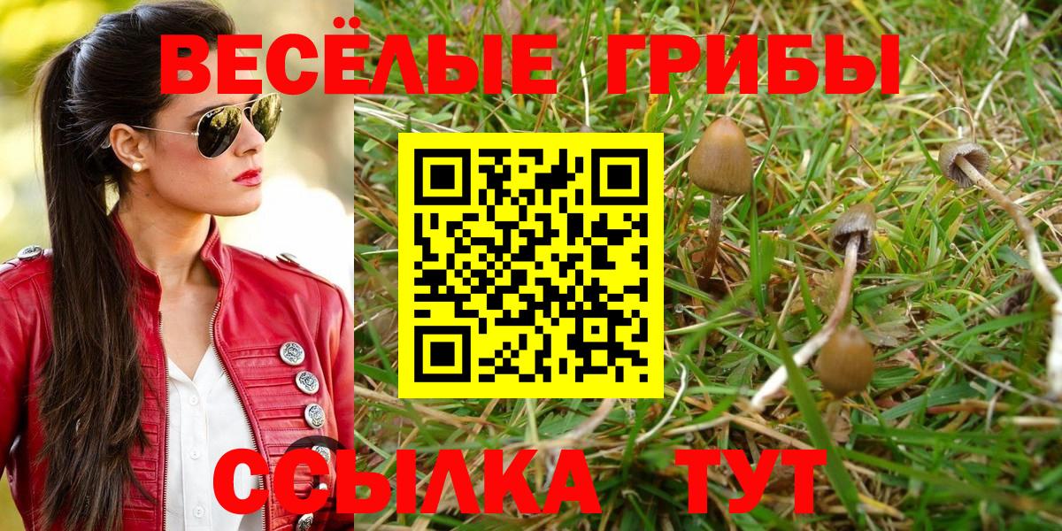 купить  сайты  Галлюциногенные грибы ЛСД  Галлюциногенные грибы GOLDEN TEACHER  Вход с VPN  Барабинск 
